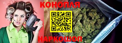 гидропоника Заволжье