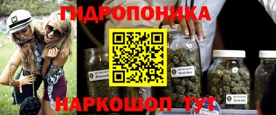 крисы Жуковский